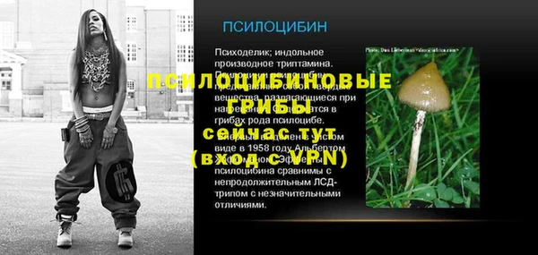 PSILOCYBIN Богородицк